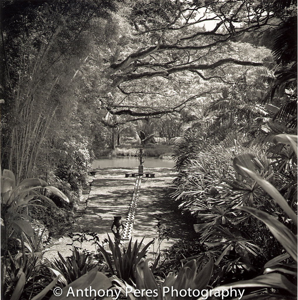 Allerton Garden, Kauai